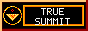 TRUE SUMMIT 88x31